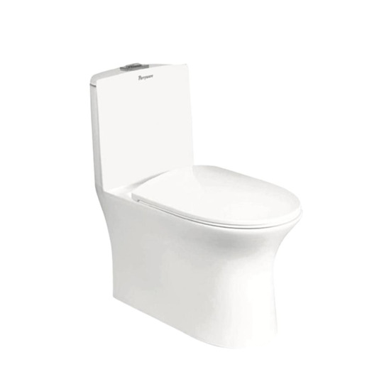 Smart Toilet with Bidet